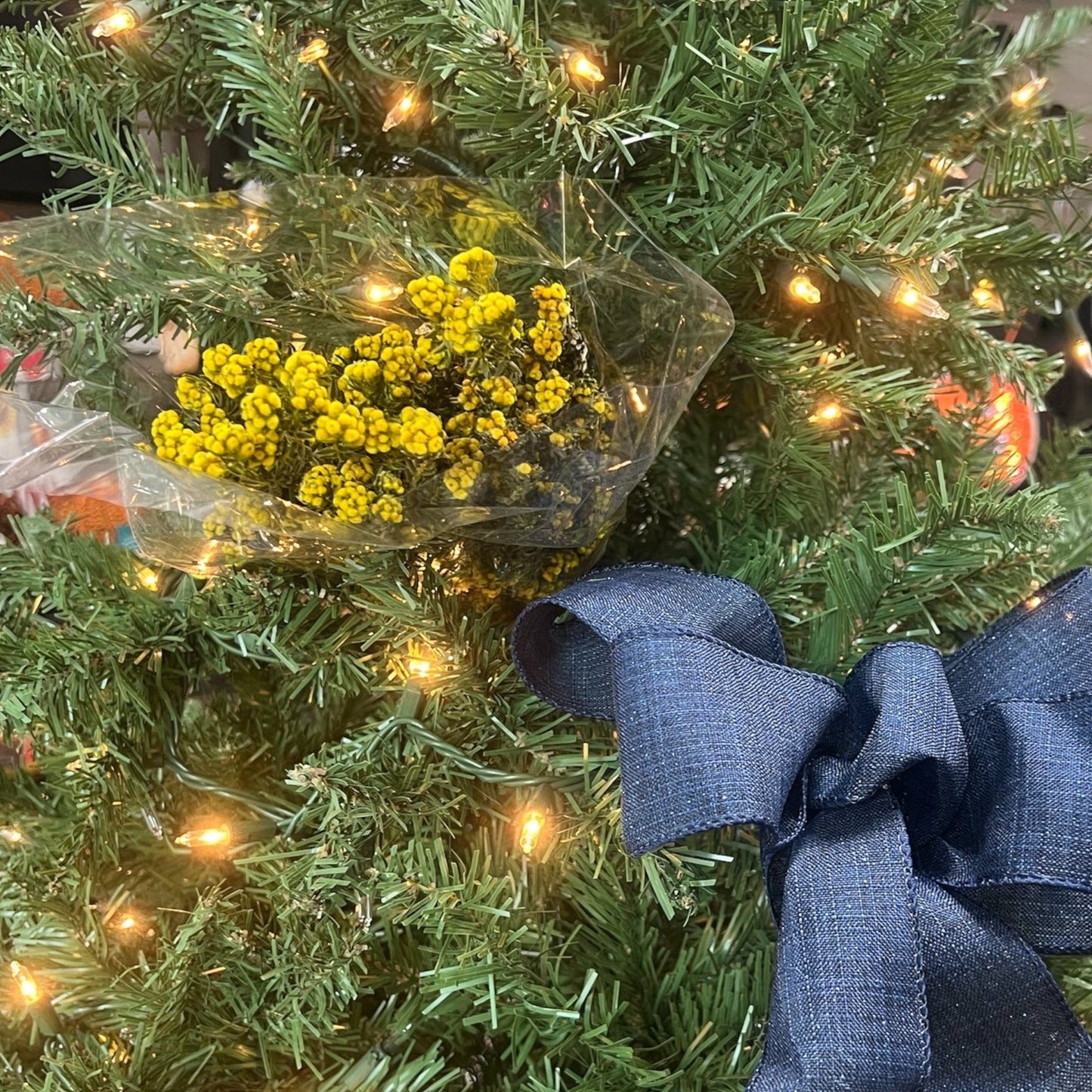 Yellow Cotton Phylica Flower Bundle