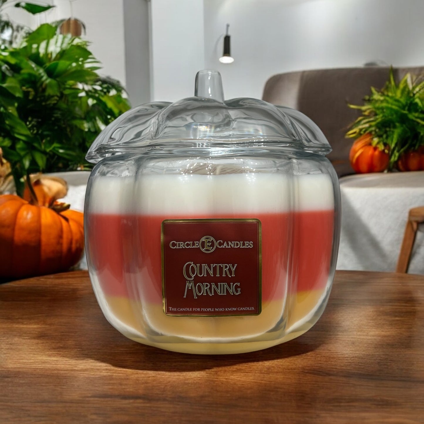Pumpkin Candy Corn Circle E Candle