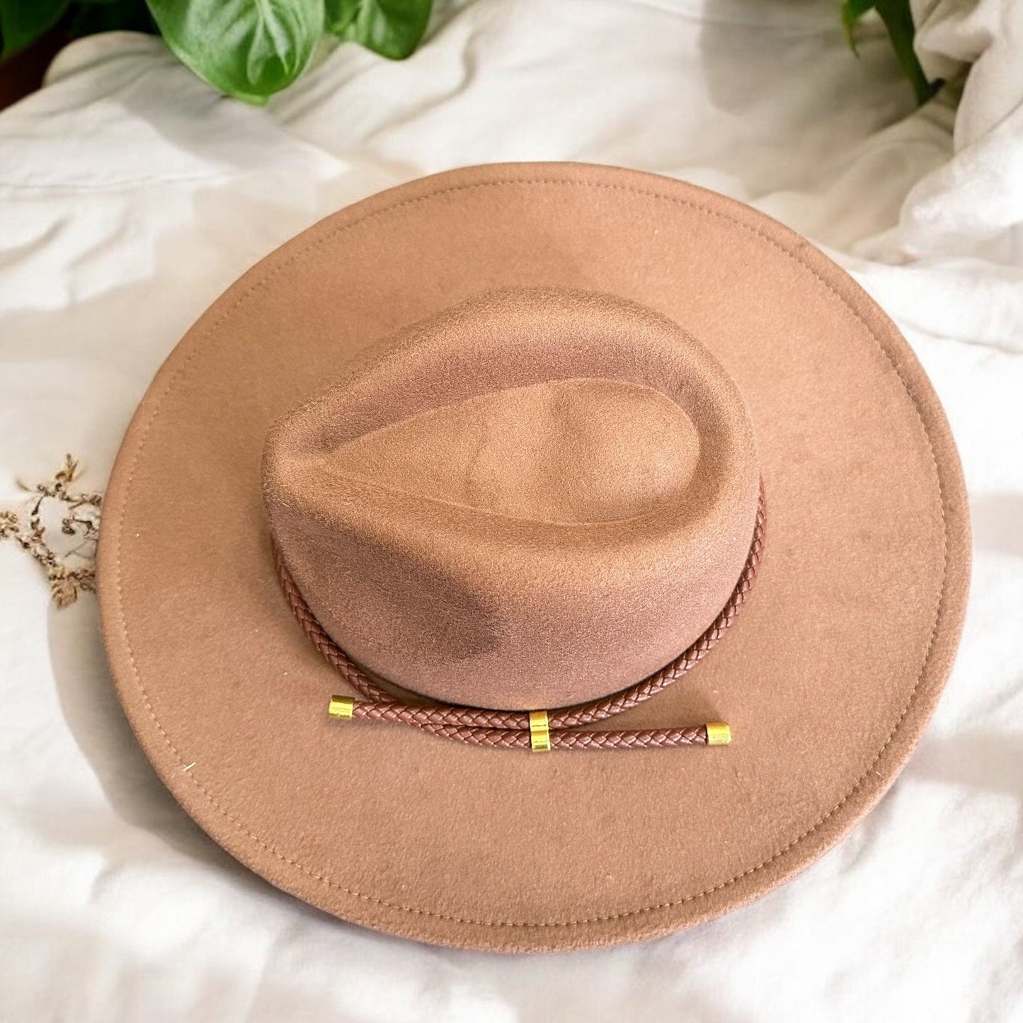 Brown Felt Hat
