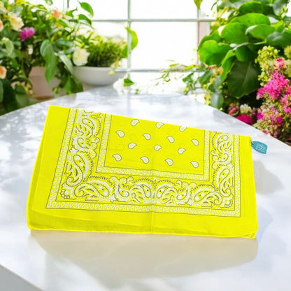 Paisley Print Bandanna