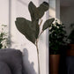 Plastic Magnolia Green Stem Home Decor Plant