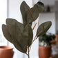 Plastic Magnolia Green Stem Home Decor Plant