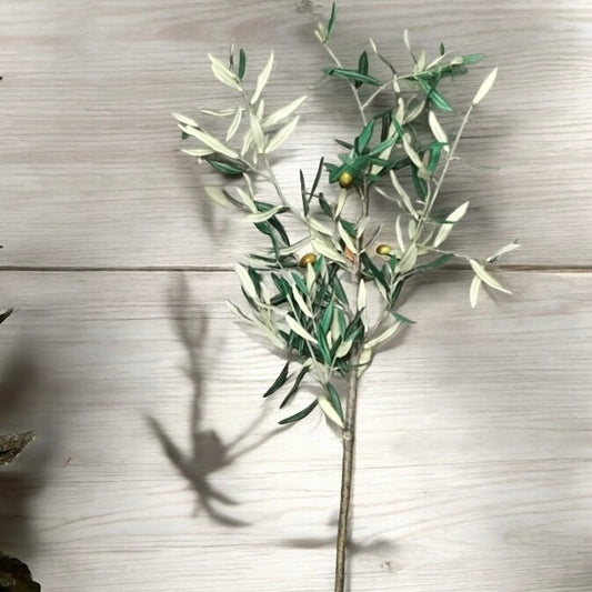 Olive Branch Stalk